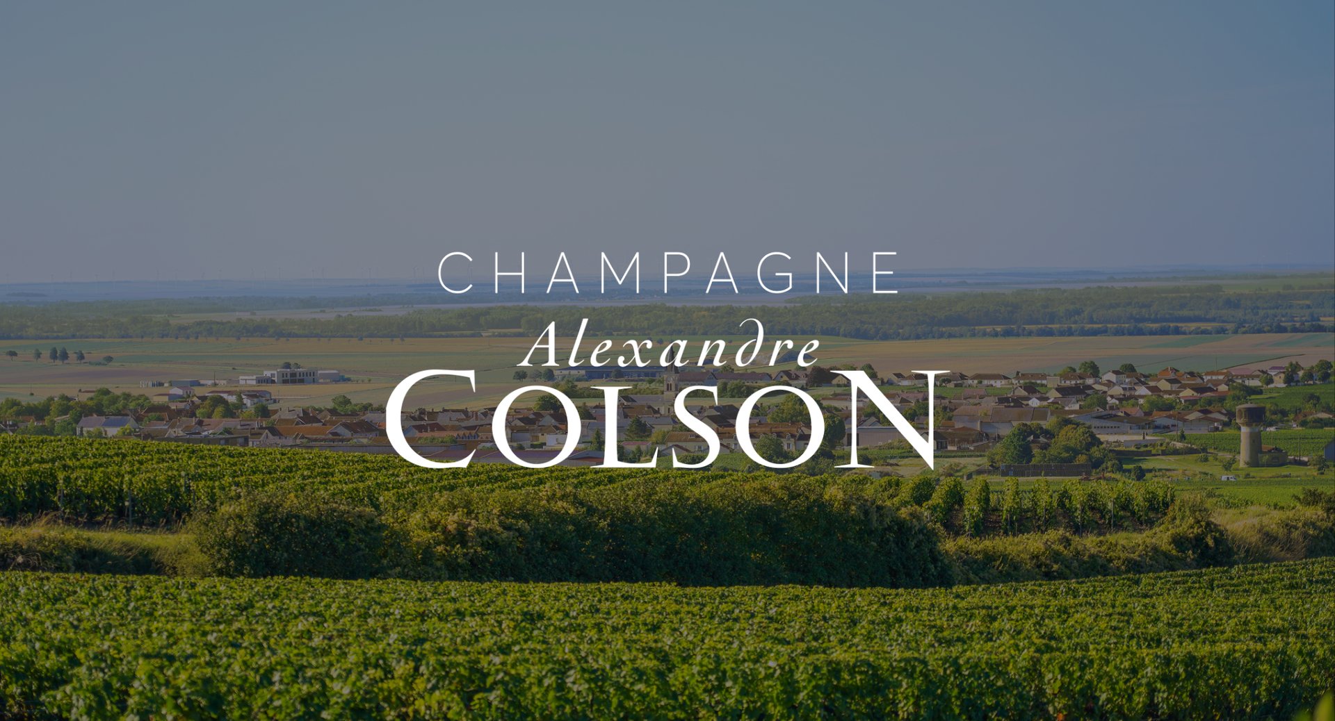 Champagne Alexandre Colson