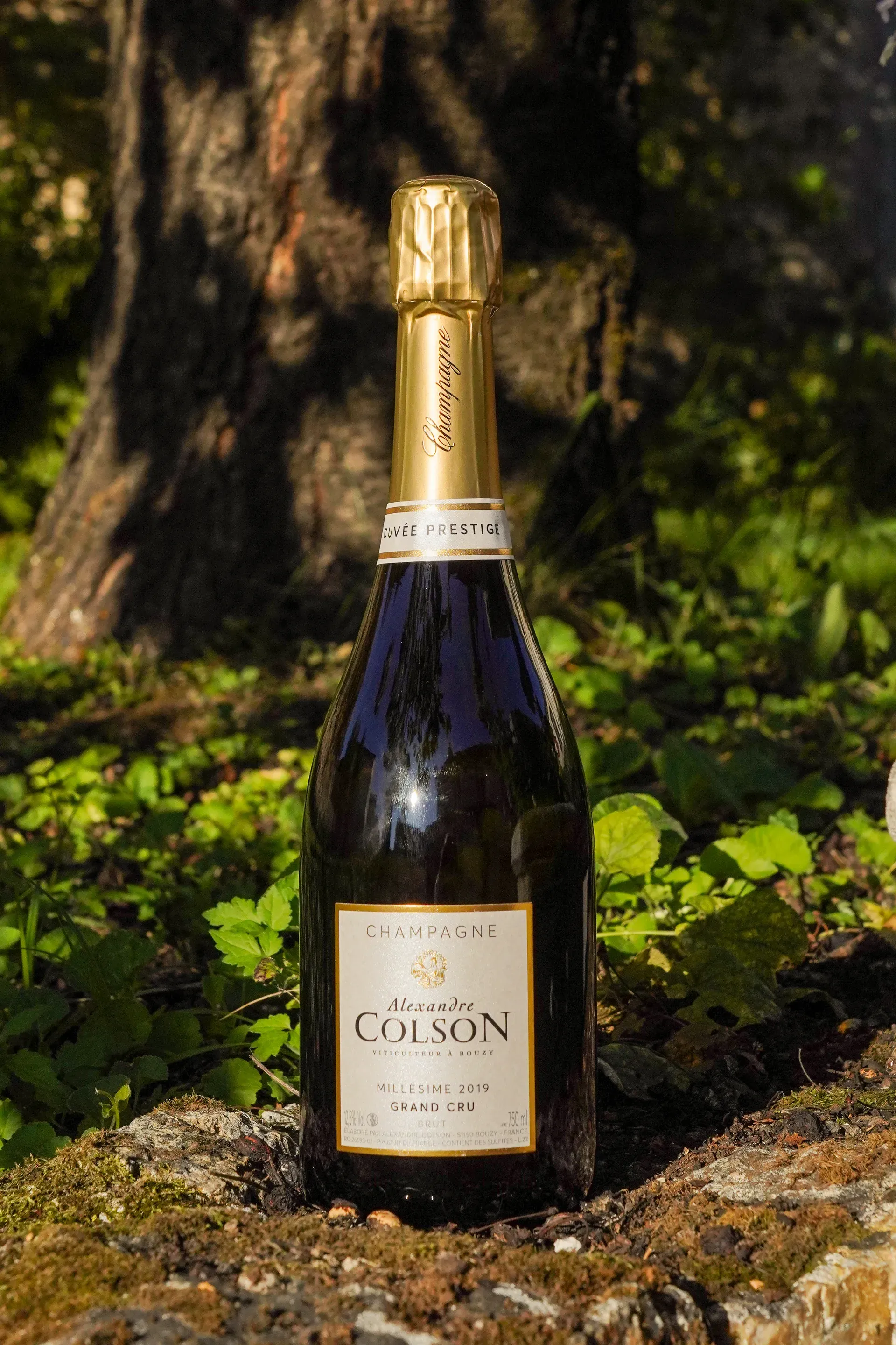 Cuvée prestige Millésime 2019